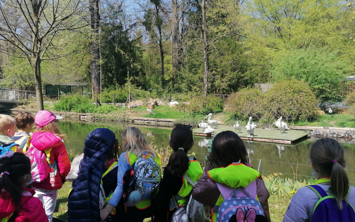 Inquiry Based Learning