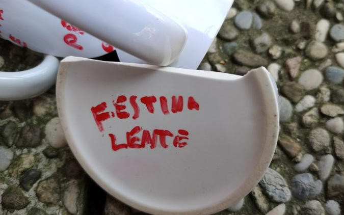 Diversitas linguae Latinae