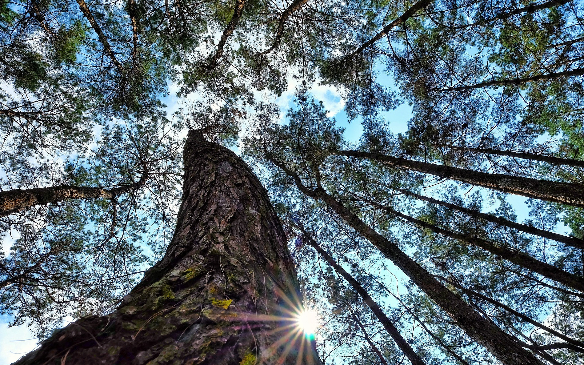 Radionice mindfulnessa za učenike