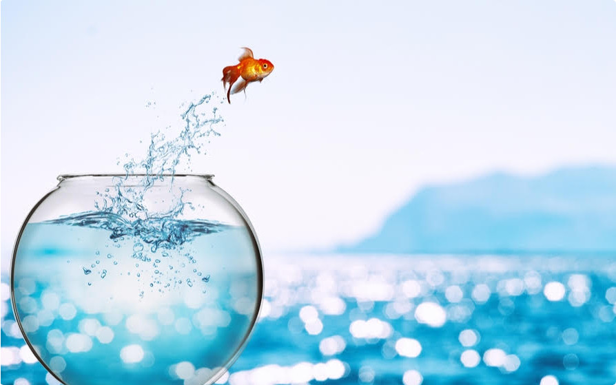 Prvi dan BezVeze u školi