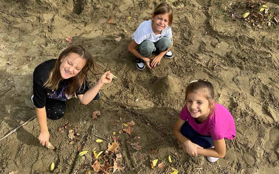 Autumn in the Forest