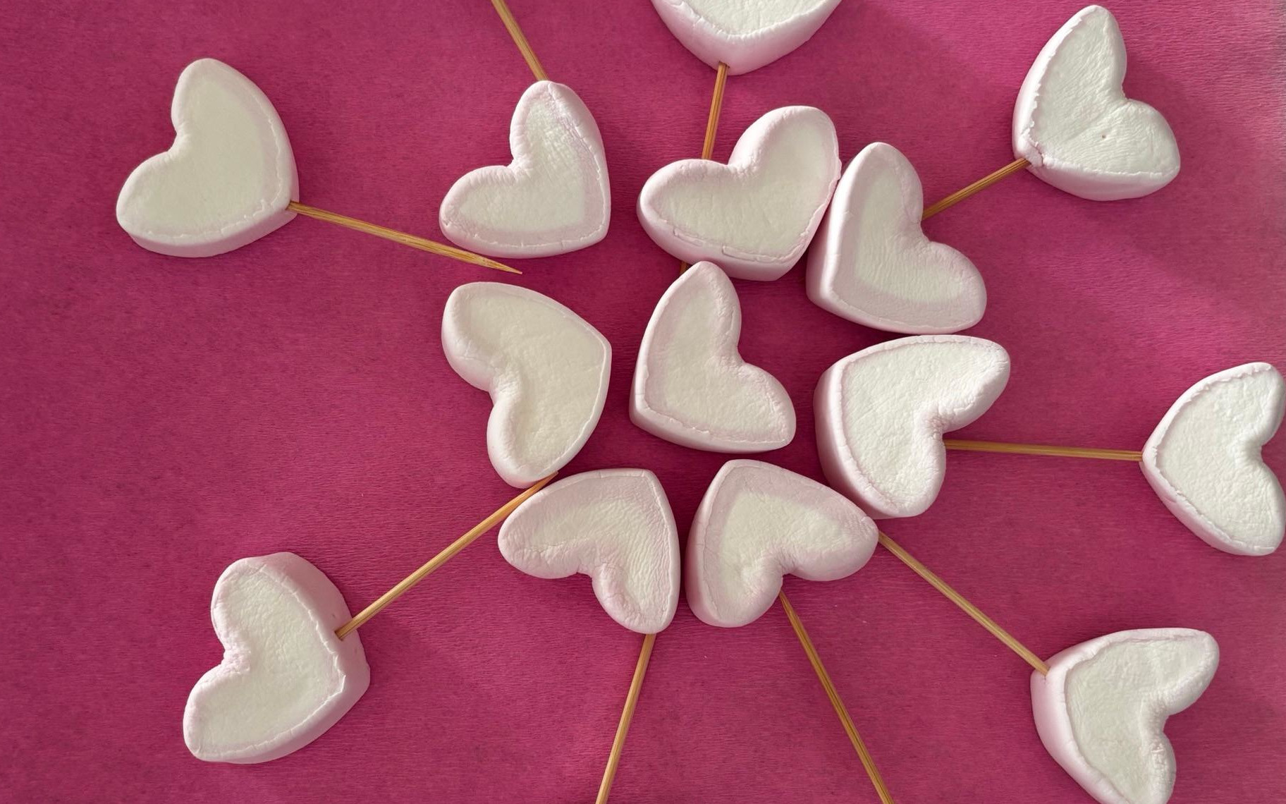 Hearts Full of Gratitude and Kindness