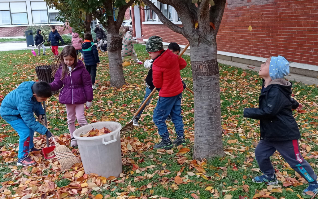 PYP0 Students Help Clean the School Garden