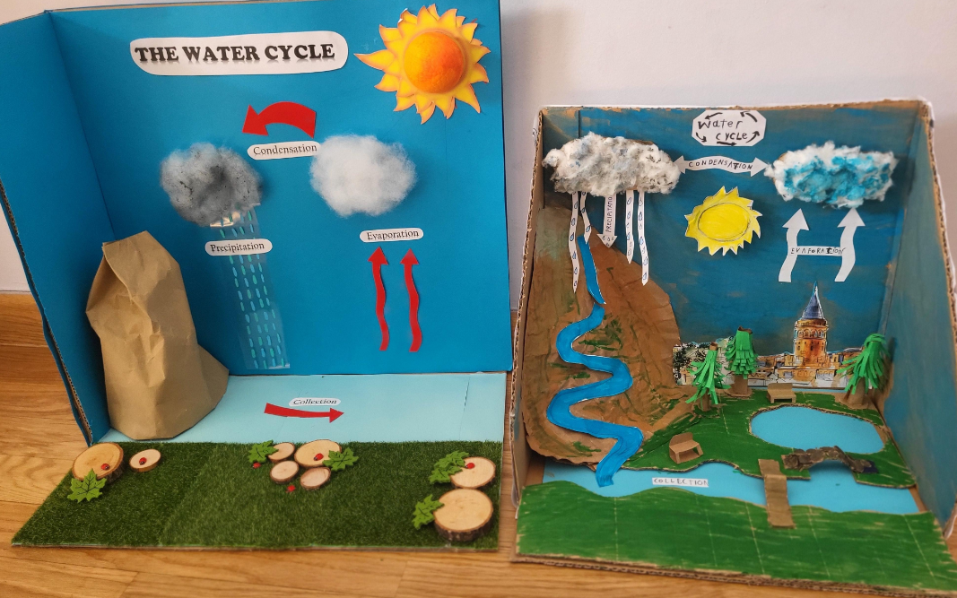 The Water Cycle
